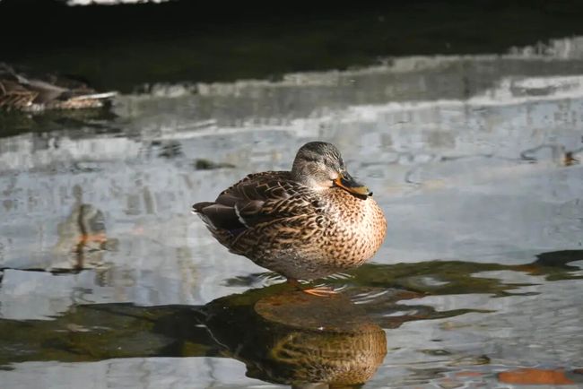 92SHnRHcFZ1MAzZr.jpg 92SHnRHcFZ1MAzZr.jpg