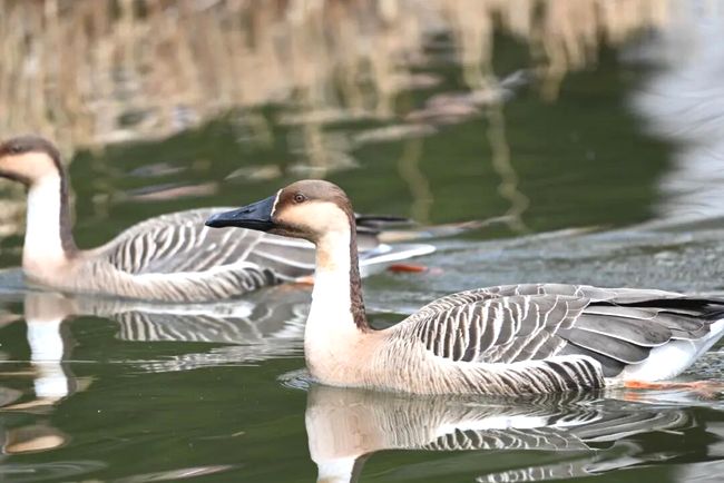 CPYAMDNMAydMAJZY.jpg CPYAMDNMAydMAJZY.jpg