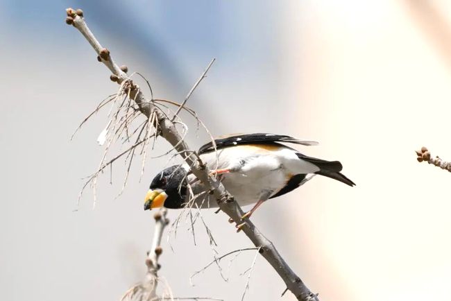 N2srEWPKek9jeZ7e.jpg N2srEWPKek9jeZ7e.jpg