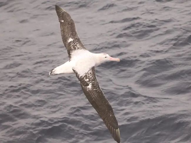 WMXdPtk9zXmzR97t.jpg WMXdPtk9zXmzR97t.jpg