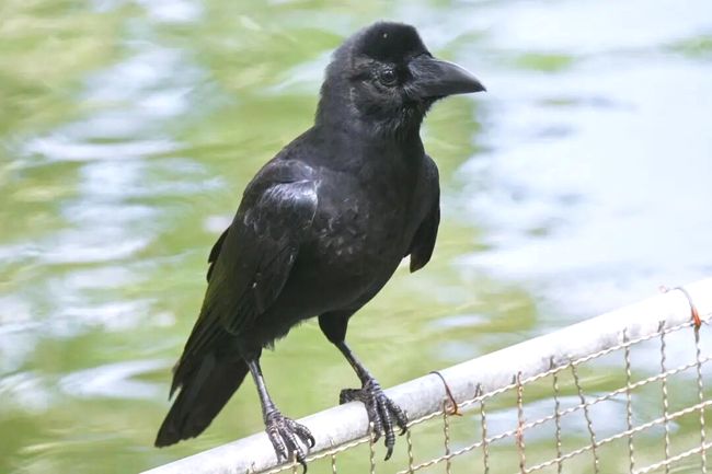 jHBjrStSZkbxBBDm.jpg jHBjrStSZkbxBBDm.jpg