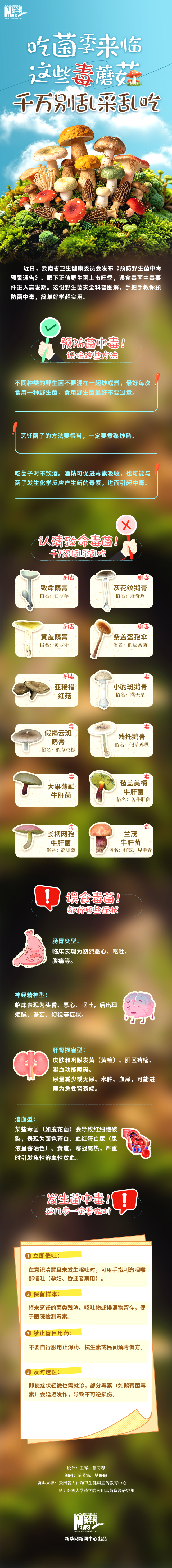 8AzcXCPD3x2RpwB5.jpg