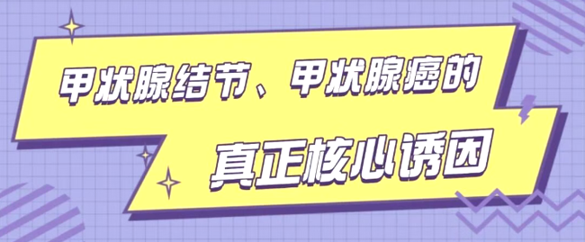 hMi8Q4DKwakAdAM5.png