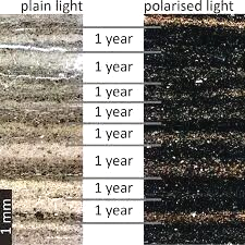 G27pDfeKcsGFRy5y.png G27pDfeKcsGFRy5y.png