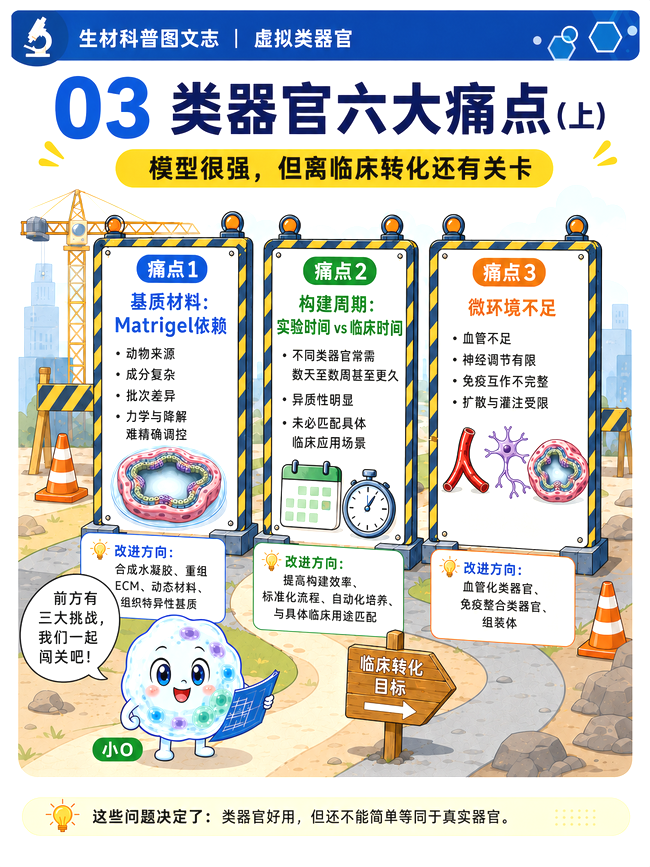 6cw8yZ4XGF6kh4xm.png