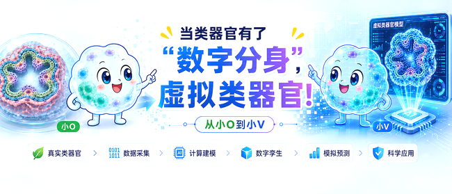 yD1M5PRPP9RyWpP6.png