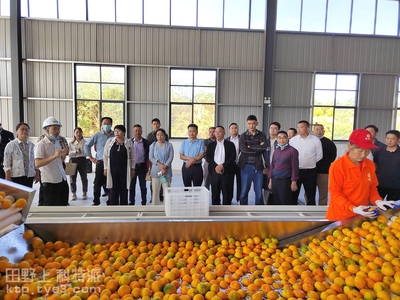 市农业农村局组织专家团队 来我区观摩柑橘产业链（集群）项目建设