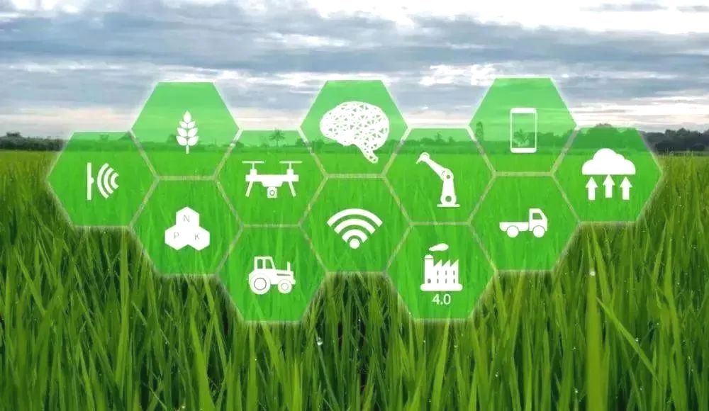 数字技术如何加速农业农村现代化？