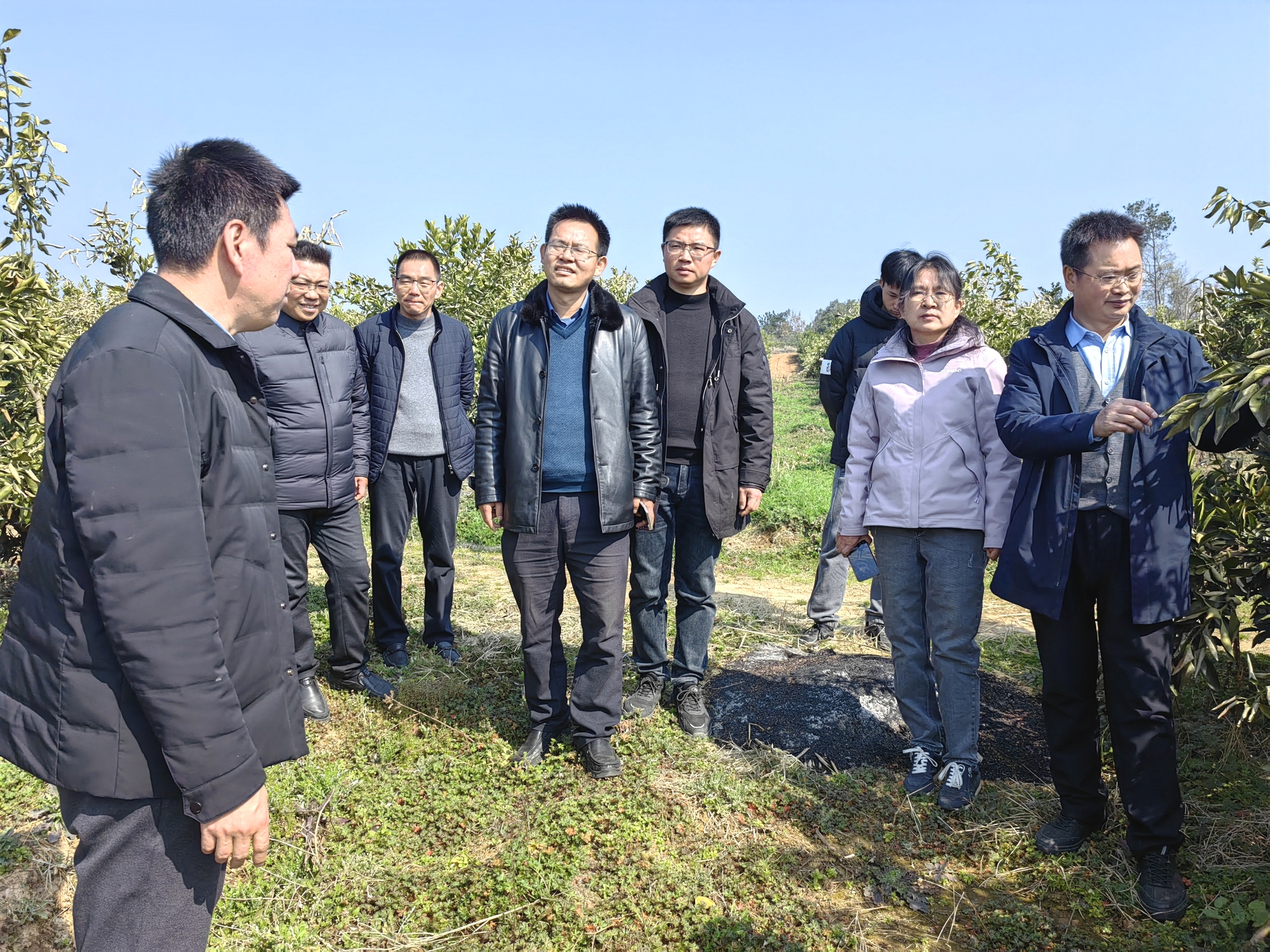 国家柑橘产业技术体系首席科学家程运江教授来夷指导柑橘产业发展