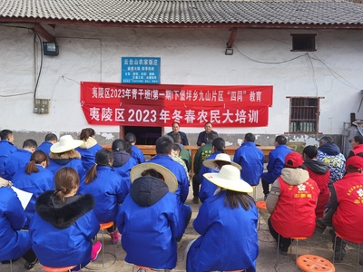 夷陵区2023年第一期青干班学员到九山村云台观播种土豆