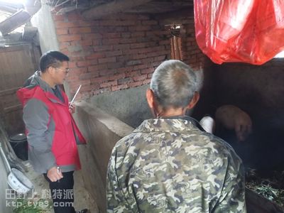 邓村乡农技中心组织专班对全乡秋防工作进行自查验收