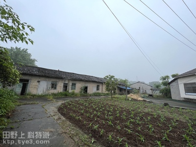 在龙泉镇指导农业安全生产
