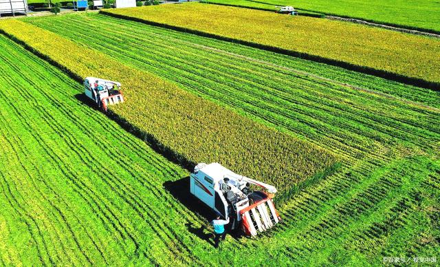 《“十四五”全国农产品质量安全提升规划》印发