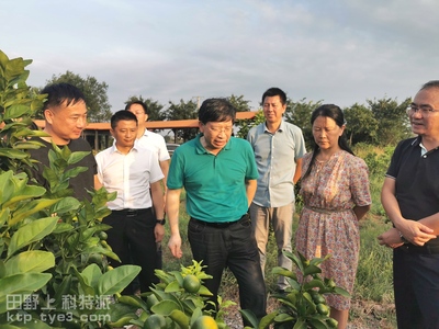 国家柑橘产业技术体系首席科学家邓秀新院士到宜昌综合试验站指导抗旱减灾工作