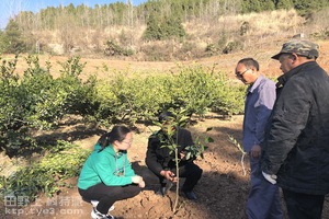 聂红丽带领团队实地开展技术指导