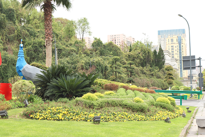 花漾宜昌丨多彩花境，为城市品质提升增添“颜值”