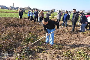 基层农技人员知识更新培训班—蔬菜种植培训