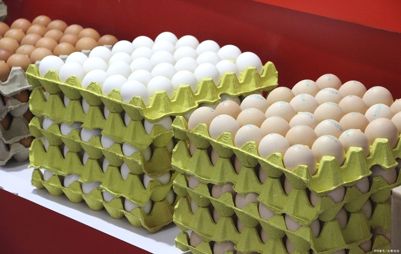 鸡蛋经常检出问题药物清单