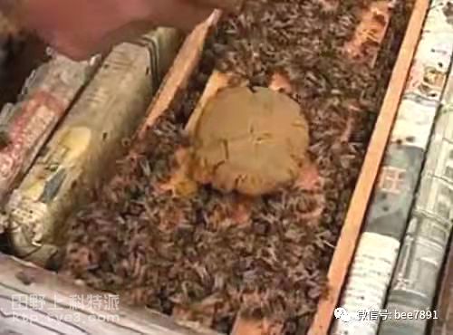 长期低温缺粉缺蜜时饲喂中蜂配方