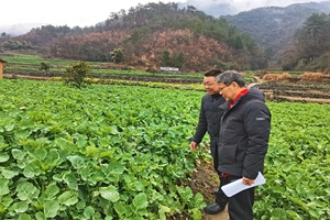 在黄花镇开展冰冻天气防灾减灾进村入户、下田到圈活动