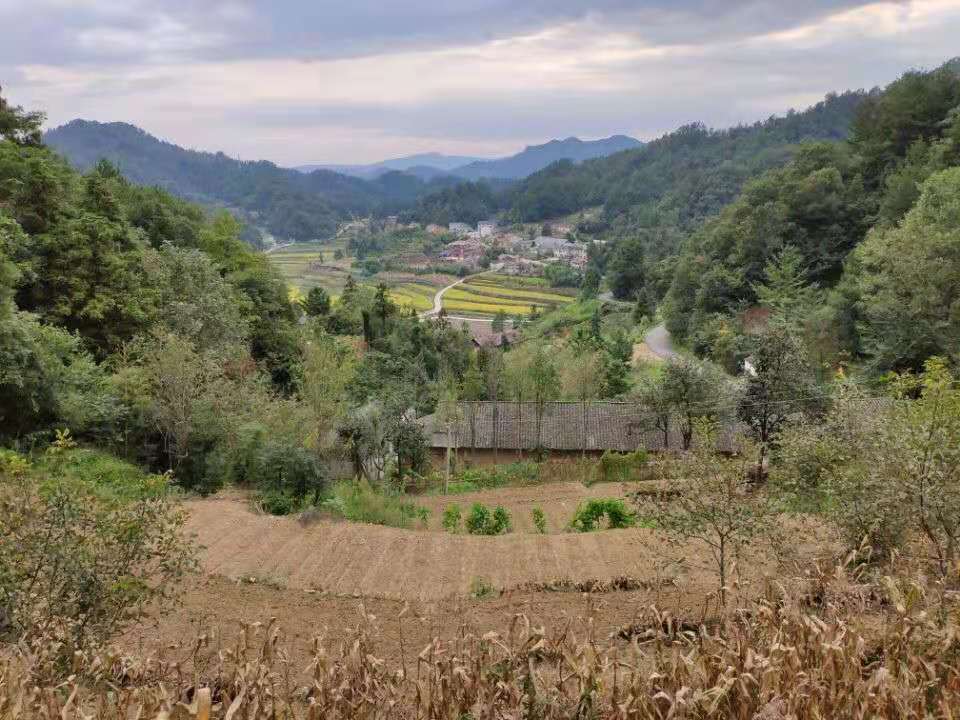 马卧泥村_村名片_湖北省宜昌市夷陵区雾渡河镇马卧泥村