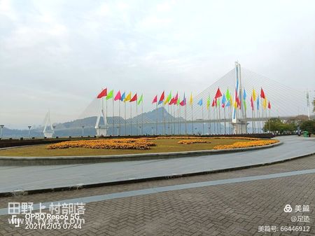 夷陵大橋下的蘆葦花.和平公園的三峽奇石.和平公園盛開的鮮花.